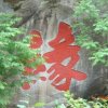 ☆缘来是你☆的头像