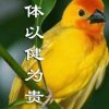 柴米油盐酱醋茶的头像