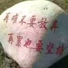 勇往直前的头像