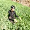 失恋情歌的头像