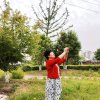 一片云 的头像