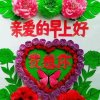 邬云风的头像