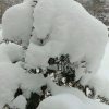春天的燕子的头像