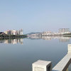 沙莎的头像