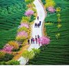 余生慢尝的头像