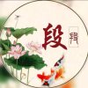 段姐的头像