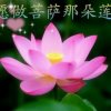 万里晴空的头像
