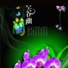 幽兰的头像