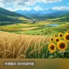 健康快乐的头像