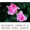 烁烁的头像