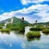 锦上添花的头像