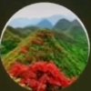 梦乐欣荷的头像