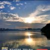 民哥铿锵玫瑰的头像