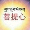 菩提心的头像