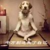 孤芳自赏的头像