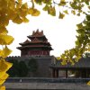 平安吉祥的头像