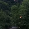 一生有你的头像
