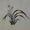 先凤的头像