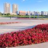 兆云(己退)的头像