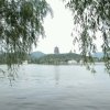 秀/暂退的头像