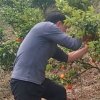 春雷的头像