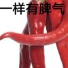 开心每一天的头像