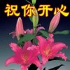 四月天开心的头像
