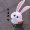 零点的头像