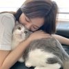 静静不吃香菜的头像