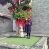 妞妞的头像