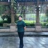 家和万事兴的头像
