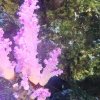 非城勿扰的头像