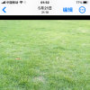 陈波的头像