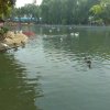 彩云追月的头像