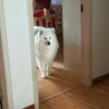 快乐先生的头像