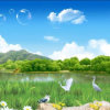 平安的头像