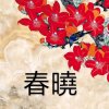 春晓的头像