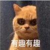 ``无助守护蓝艳的头像