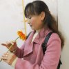 凤凰英子的头像