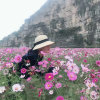 椰果儿的头像
