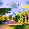 心中的日月的头像