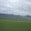 流逝的春天的头像