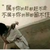 暖心的头像