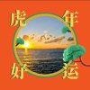 冲出江湖的头像