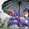 。。。的头像