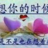 飘雪的头像
