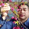食野之苹的头像