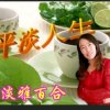 冰淡雅百合的头像