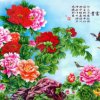 富贵花开的头像