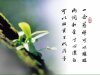 常回家看看的头像